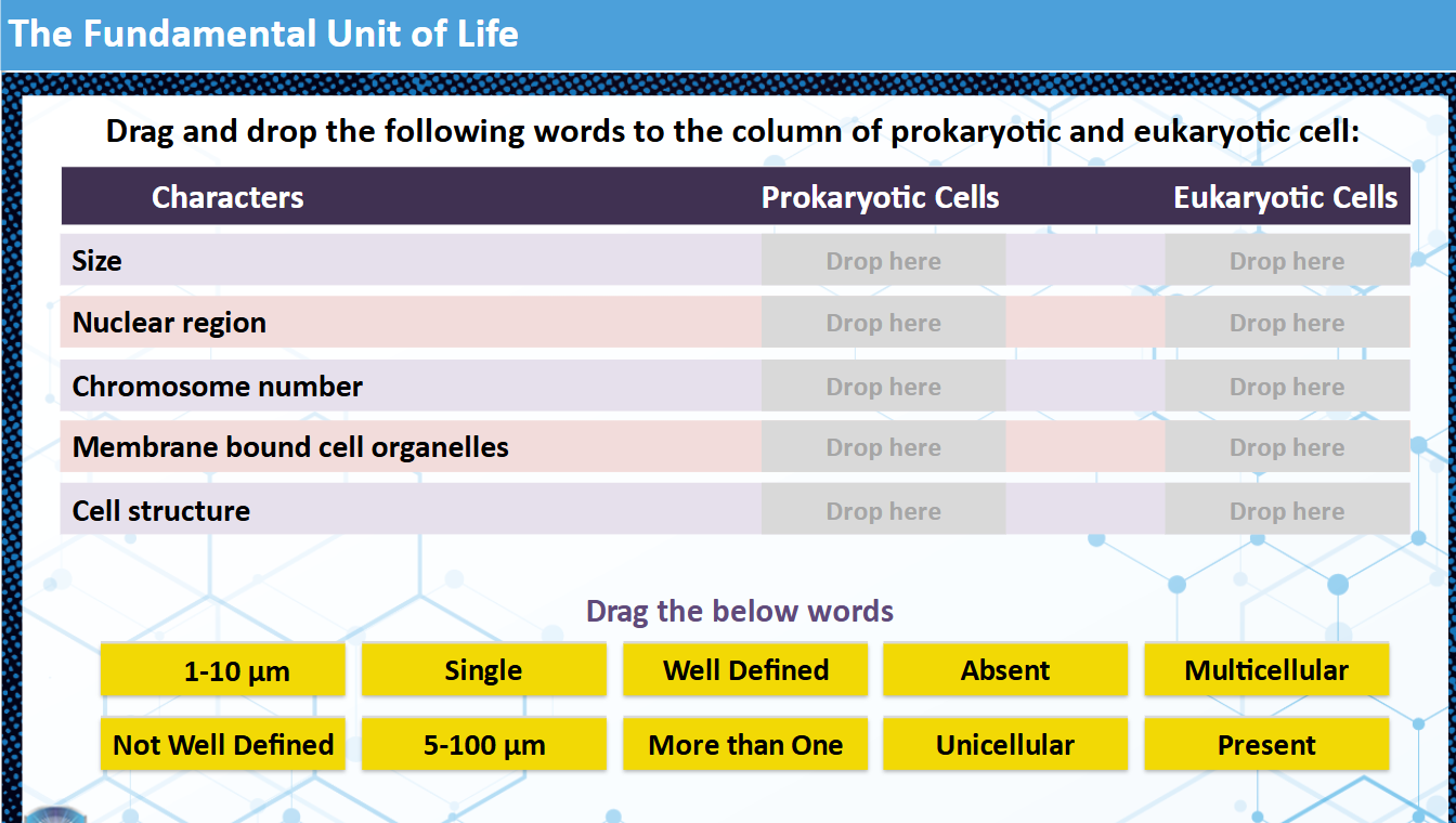 08_The Fundamental Unit of Life