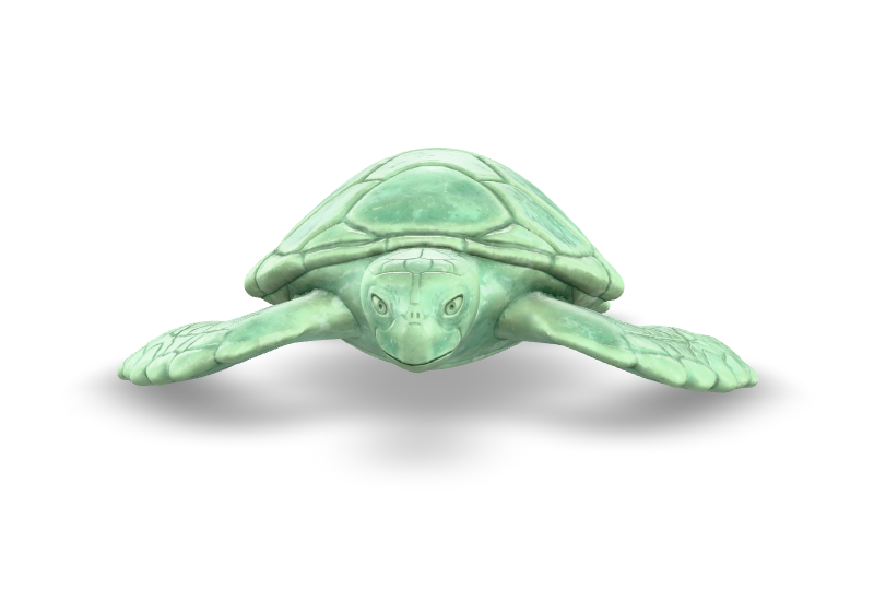 Turtle